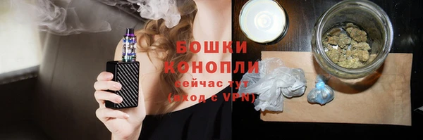 сатива Дмитриев