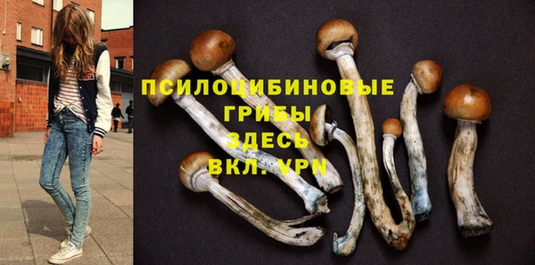 jwh Дмитровск