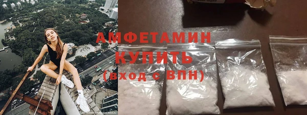 сатива Дмитриев